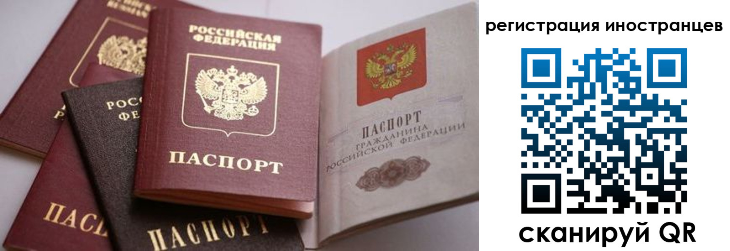 прописка штамп в Братске